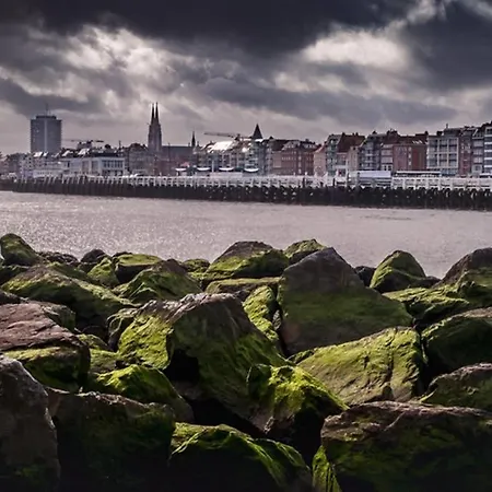 Zilt - A Brand New Near The Sea